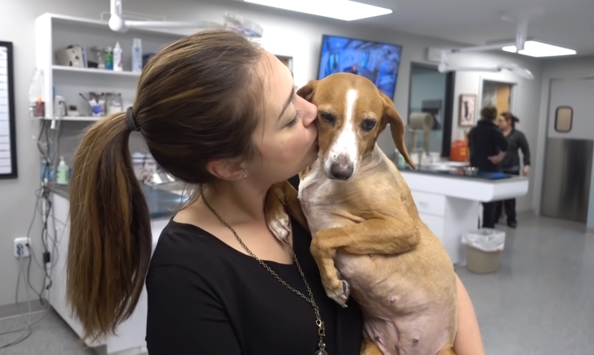 Photo Credit: Vet Ranch/Youtube