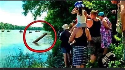 They Believed They’d Discovered a Mere Log but Their Screams Echoed When They Pulled It Out