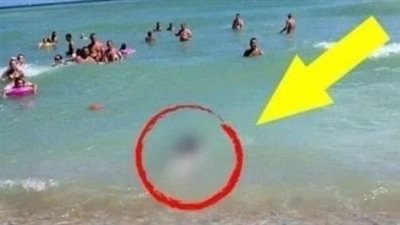 The Moment People were Speechless when they saw what emerged from the sea…
