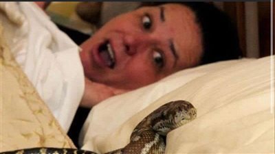 This Woman Slept With Her Pet Snake Every Night Until a Terrible Thing Happened