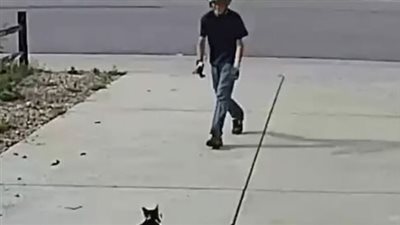 Boy caught paying sweetest visit to neighbor’s ‘misunderstood’ cat
