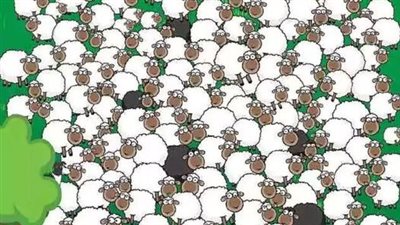 The sleeping sheep and the dog are waiting for you: measure your IQ by finding it!