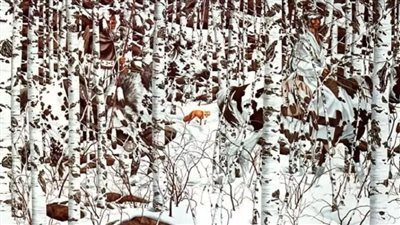 How many riders do you see? Test your ability to distinguish!