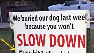 After dog is hit and killed by car, family’s brutal sign has the whole neighborhood talking