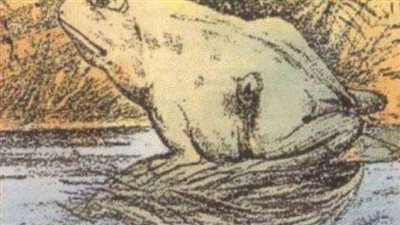 Only certain people can see the horse in this picture – are you one of the special few?
