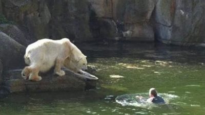 A 32-year-old woman was attacked by a polar bear after she jumped into their enclosure at the Berlin zoo