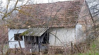 The Young Family Did Not Have Money For an Apartment: So They Bought an Abandoned House And Turned It Into a Fairytale House!