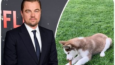 DiCaprio jumped into an icy lake to save a dog