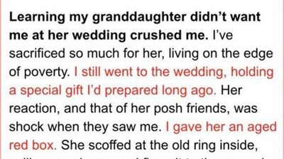 Poor grandma gets a cheap old ring as a gift, and the girl makes fun of her. She throws it away, and it opens.
