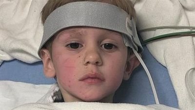 Rescuers found the lost boy in the forest, and the child insists that he survived with the help of a bear.