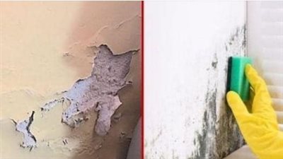 How to Remove Moisture from Walls and Never Let It Come Back