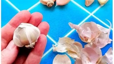 Why Garlic Peels are Like Hidden Treasures : Clever Ways to Repurpose Them