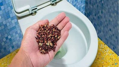5 Tips to Eliminate Urine Odors from the Bathroom