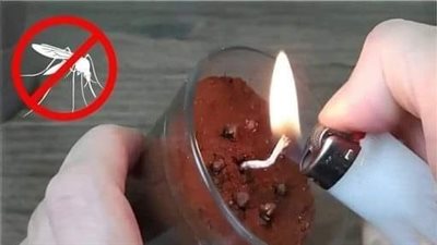 Homemade repellent to keep away mosquitoes, flies and midges