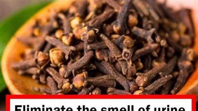 Eliminate the smell of urine and perfume the house with this great trick