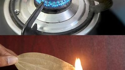 Why do you need to burn bay leaves at home?
