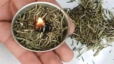 Burn rosemary at home, surprising what happens a few minutes later