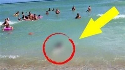Tourists couldn’t believe their eyes!